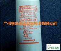 A155B3D0R0-300E高壓熔斷器