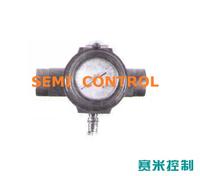 LLK-B50-Z指針式流量開關LLK-B80-Z